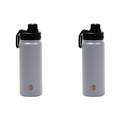 2PK Annabel Trends Watermate 550ml Stainless Steel Bottle Grey Light