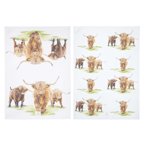 2pc Ashdene Cotton 70cm Highland Herd Kitchen Towel