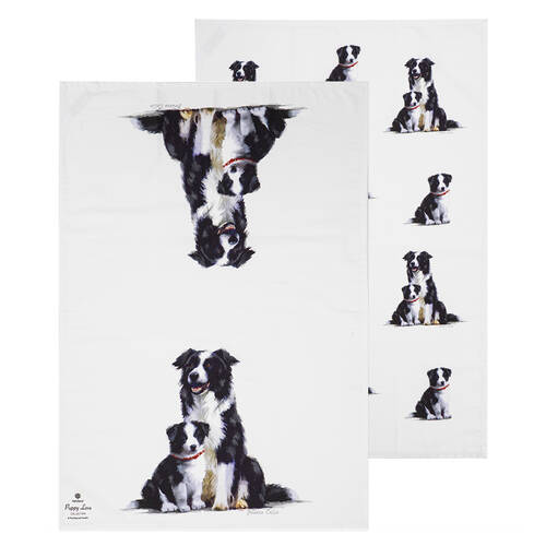 2pc Ashdene Puppy Love Border Collie Kitchen Tea Towel 50x70cm - White