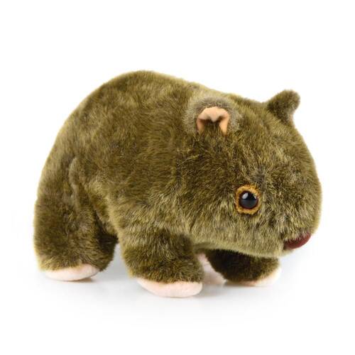 Wombat Am Ab64 Kids 25cm Soft Toy 3y+