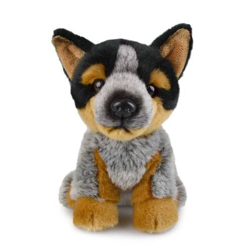 Blue Heeler (Lil Friends) Kids 18cm Soft Toy 3y+