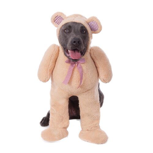 Rubies Walking Teddy Bear Big Dogs Pet Dress Up Costume - Size Xxl