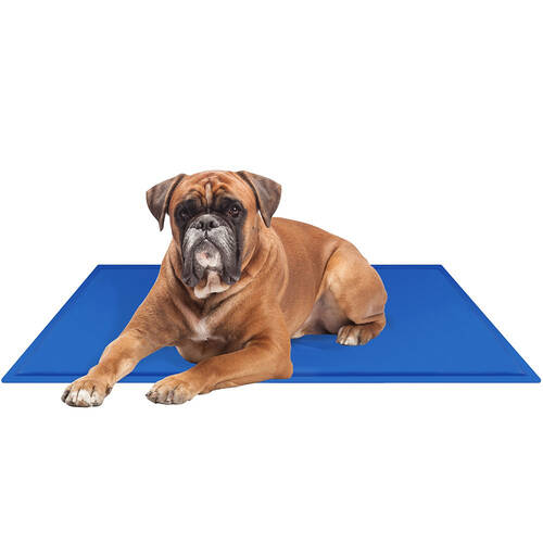 pet cooling gel mat