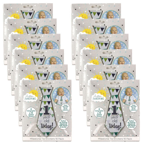 12x 16pc Hello Sunshine Baby/Toddler Milestone Tie Stickers