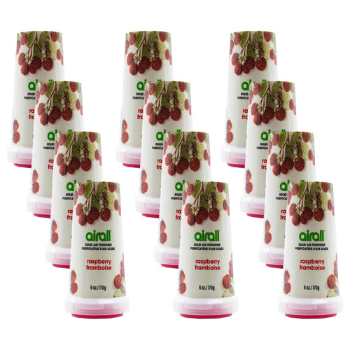 12PK Airall Solid Home/Room Air Freshener 170G - Raspberry 