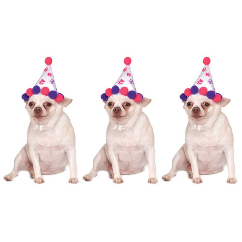 3PK Rubies Paw Print Girl Pet Birthday Hat Dog Costume - Size M-L