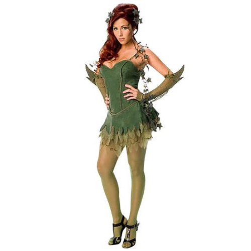 Rubies Poison Ivy Secret Wishes Womens Dress Up Costume - Size S