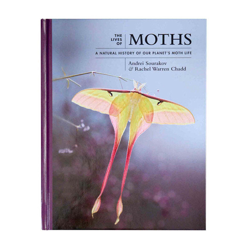 Magabala Books The Lives of Moths Hardcover Hardcover Book