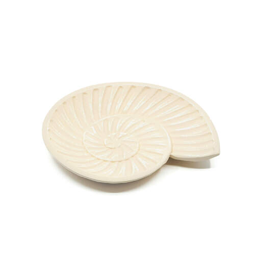 Rayell Harp Shell Trinket Tray Beige Home Decor/Storage 23x20x2cm