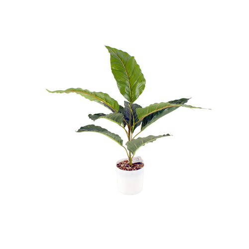 Maine & Crawford 48cm Philodendron Artificial Plant In White Pot