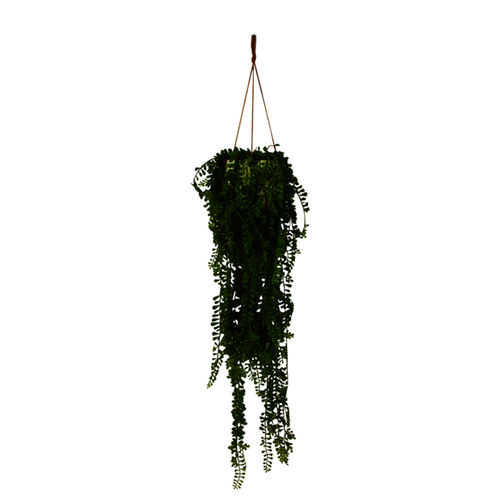 Maine & Crawford 85cm Faux Airplant In Hanging Pot Artificial - Green