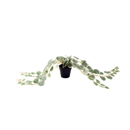 Maine & Crawford 63cm Peperomia Artificial Plant In Black Plastic Pot