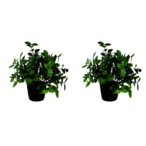 2PK Maine & Crawford 25cm Melon Seed Grass Potted Plant Artificial - Green