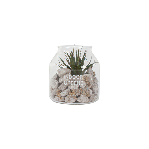 Maine & Crawford Bane 15x15cm Faux Succulent Terrarium