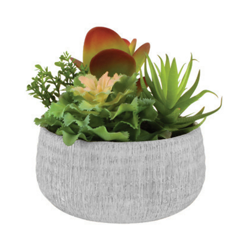 Maine & Crawford 19cm Succulent In Cement Pot Artificial Plant Assorted