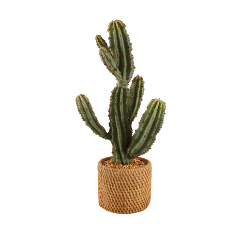 Maine & Crawford 47cm Cereus In Ceramic Weave Pot Artificial Plant