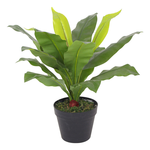 Maine & Crawford 50cm Fern Leaves In Plastic Pot Artificial Plant