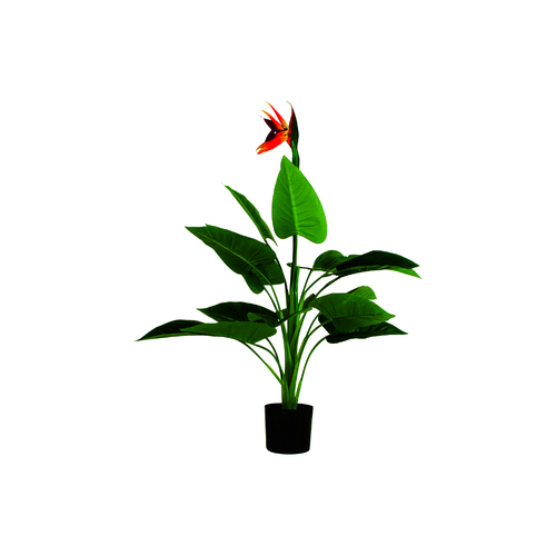 Maine & Crawford 85cm Bird of Paradise in Plastic Pot Home Decor