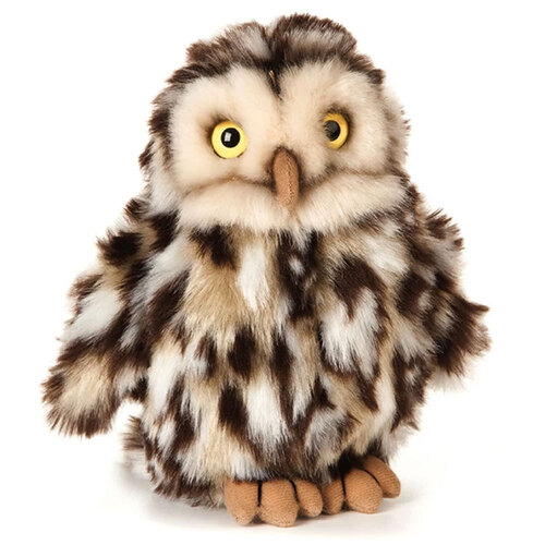 Living Nature Little Owl 16cm