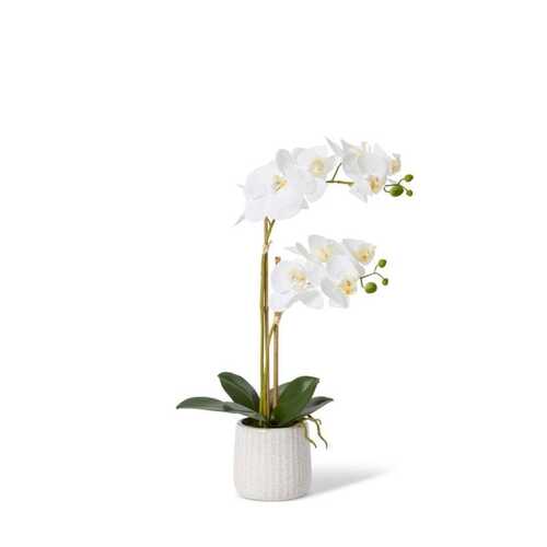 E Style Artificial 50cm Plastic Phalaenopsis Orchid Ribbed Pot - White