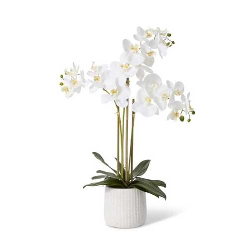 E Style Artificial 60cm Plastic Phalaenopsis Ribbed Pot - White/Cream