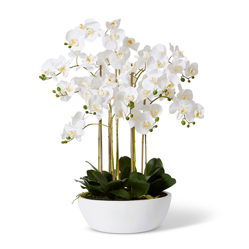 E Style Artificial Phalaenopsis Curved Bowl - 80 x 80 x 85cm