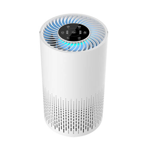 Lenoxx AP67 Air Purifier - 24m² Room