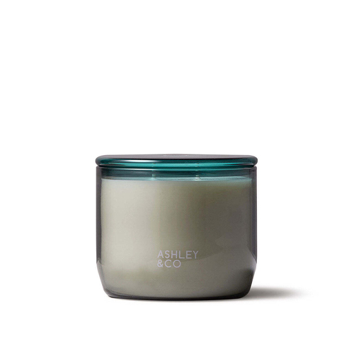 Ashley & Co Waxed Perfume 730g Scented Candle Round Tui & Kahili XL