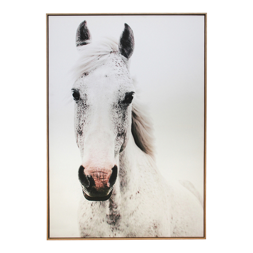 LVD Framed Canvas/Resin 72x102cm Brumby Wall Hanging Art