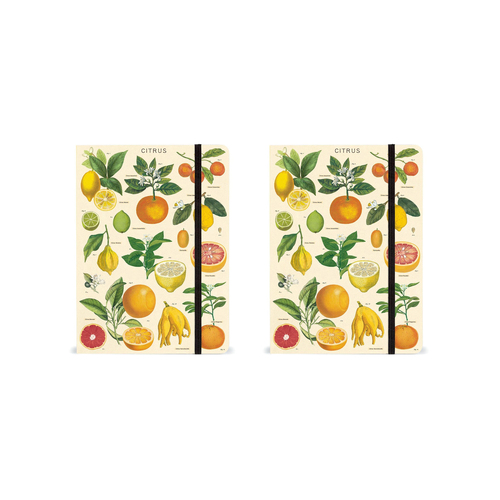 2PK Cavallini Notebook Writing Stationery Large - Citrus