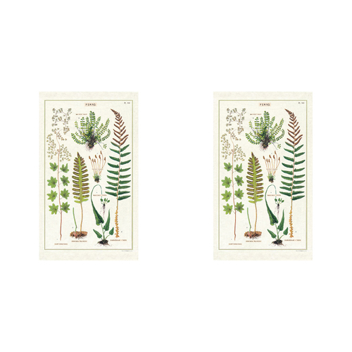 2PK Cavallini Cotton Kitchen Tea Towel 48x80cm - Ferns