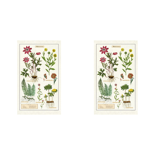 2PK Cavallini Cotton Kitchen Tea Towel 48x80cm - Herbarium