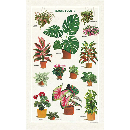 Cavallini Cotton Kitchen Tea Towel 48x80cm - House Plants