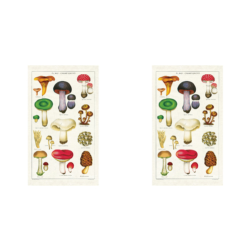 2PK Cavallini Cotton Kitchen Tea Towel 48x80cm - Mushrooms