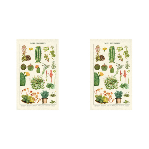 2PK Cavallini Cotton Kitchen Tea Towel 48x80cm - Succulents