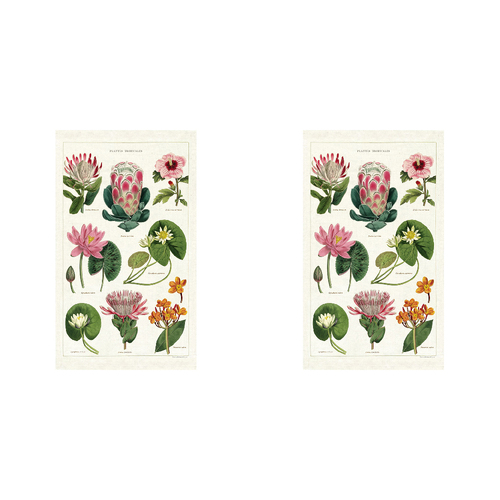 2PK Cavallini Cotton Kitchen Tea Towel 48x80cm - Tropical Plants