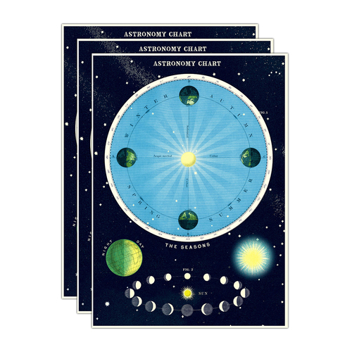 3PK Cavallini Paper Poster Prints/Gift Wrap 50x70cm - Astronomy Chart