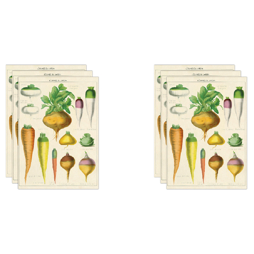 6PK Cavallini Paper Poster Prints/Gift Wrap 50x70cm - Legumes Du Jardin