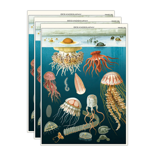 3PK Cavallini Paper Poster Prints/Gift Wrap 50x70cm - Jellyfish