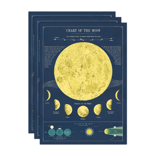 3PK Cavallini Paper Poster Prints/Gift Wrap 50x70cm - Moon Chart