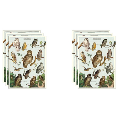 6PK Cavallini Paper Poster Prints/Gift Wrap 50x70cm - Owl Chart