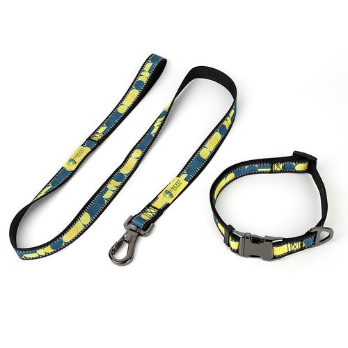 Cricket Australia Pet/Dog Collar & Walking Leash/Lead Set