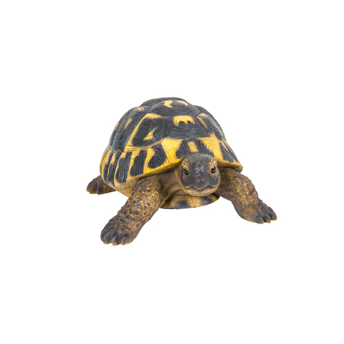 Northcote Pottery Resin Tortoise Herman Garden Outdoor Decor