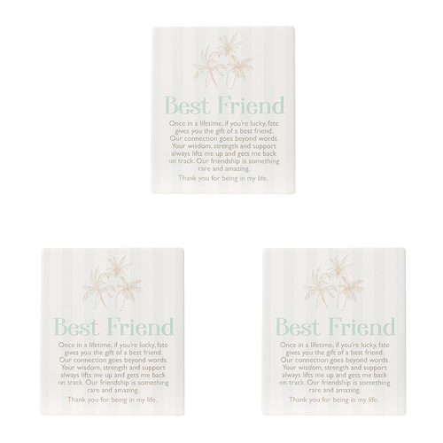 3PK Splosh Coast Ceramic Best Friend Verse Plaque w/ Stand & Hanging Hook 12x14cm