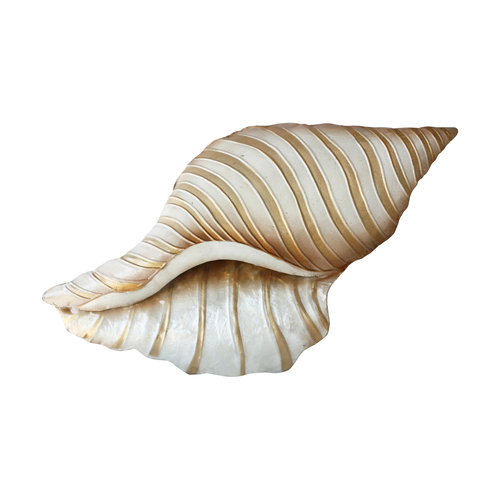 Darlin Capiz/Metal 34x19cm Shell Wall Art V1 Hanging Decor Beige