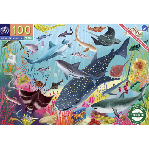 100pc eeBoo Jigsaw Puzzle Love of Sharks 45x68cm Educational Game 5+