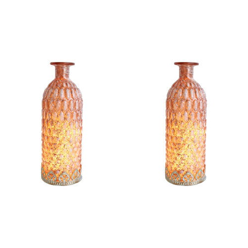 2PK LVD Glass Lantern LED Bottle Home/Lounge Decor 24.5cm Terra