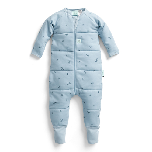 ErgoPouch Sleep One Piece TOG 2.5 Size 2-3 Years - Dragonflies