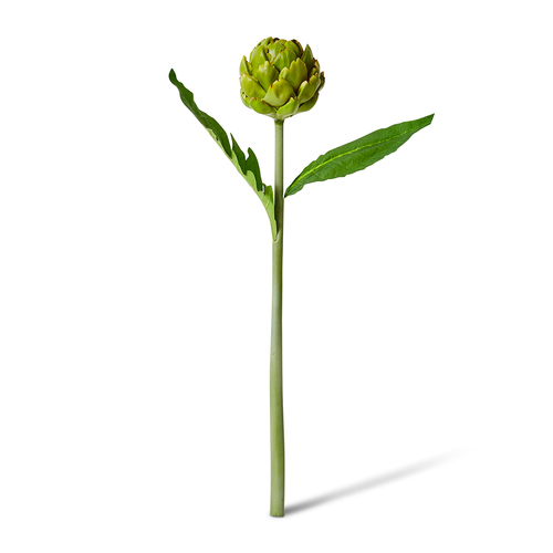 E Style Artificial Vegetable Artichoke Stem - 18 x 10 x 61cm