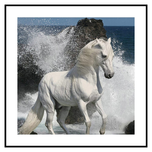 White Horse at the Ocean Framed Print Home Decor Glass/Plastic